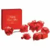 Bijoux Indiscrets - Happily Ever After Bruidsbox Red Label -GLIJMIDDELEN Verkoop E23086