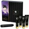 Shunga - Naughty Geisha Kit -GLIJMIDDELEN Verkoop E28769